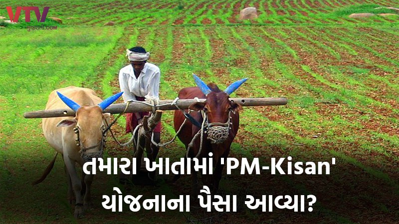 પીએમ કિસાન યોજના ૨૦૨૪ | PM Kisan Samman Nidhi Yojna 2024