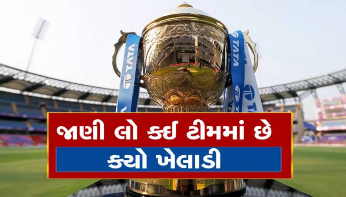IPL 2024 દરેક ટીમના ખેલાડીઓની યાદી